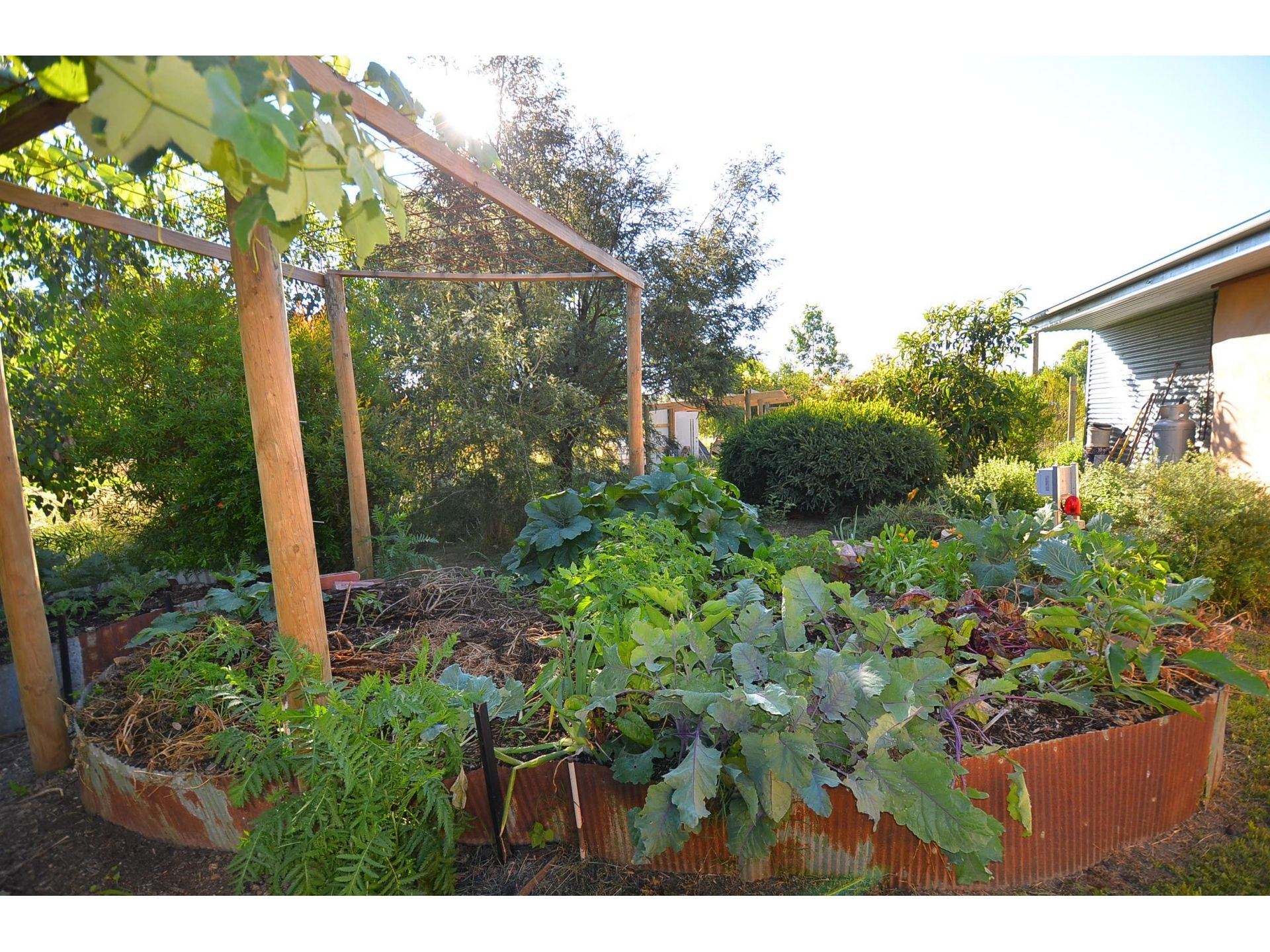 Beautiful strawbale home in the heart of Beechworth