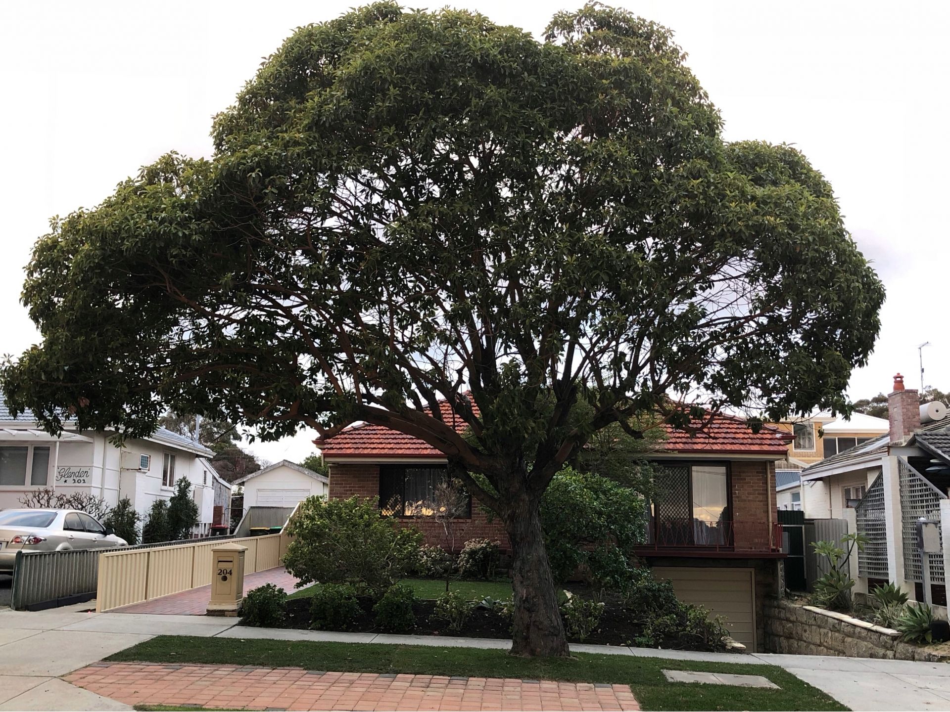 SCARBOROUGH Laugh - Play - Nest - Rest - INVEST