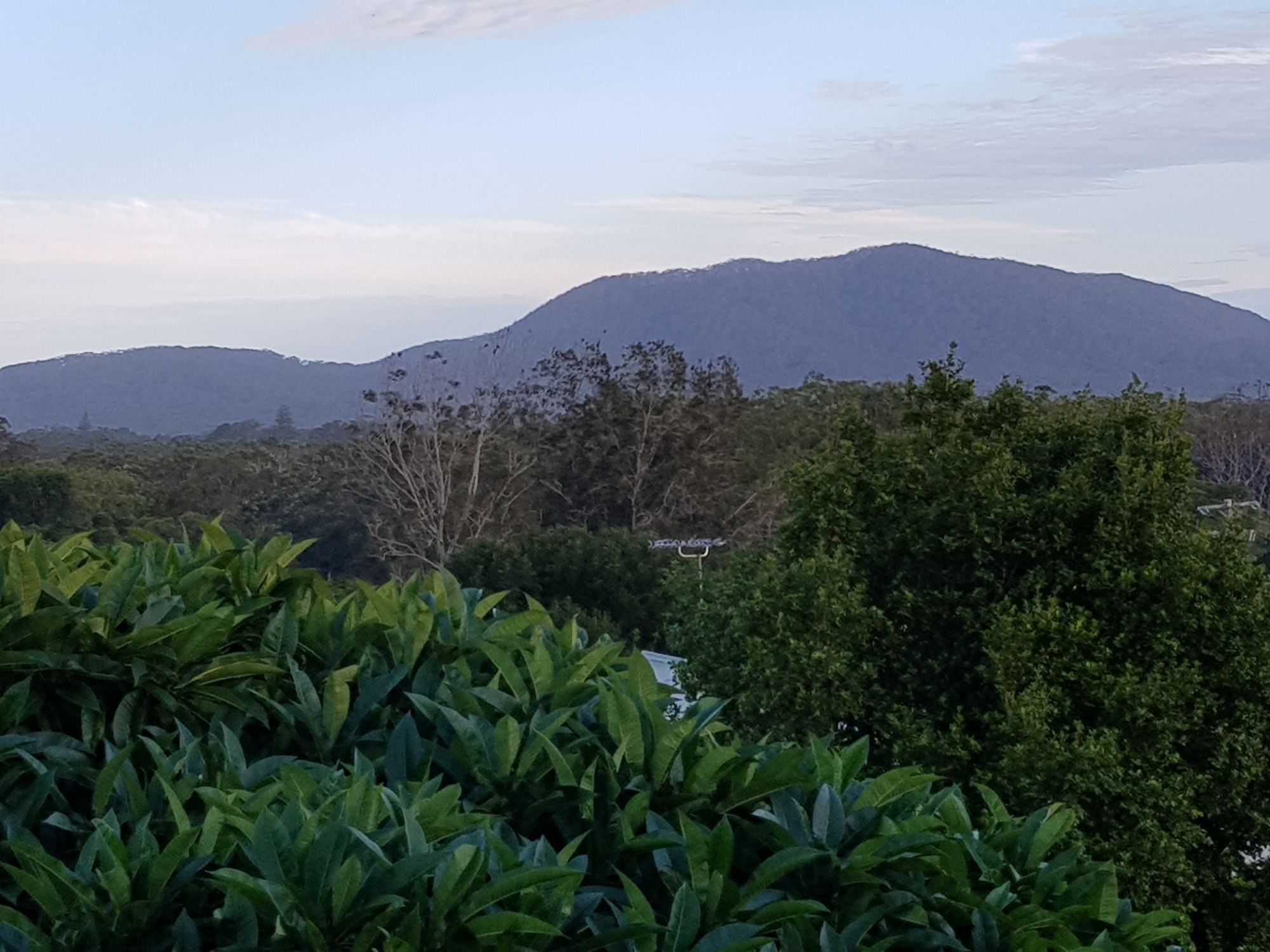 Investor or First Home buyers dream