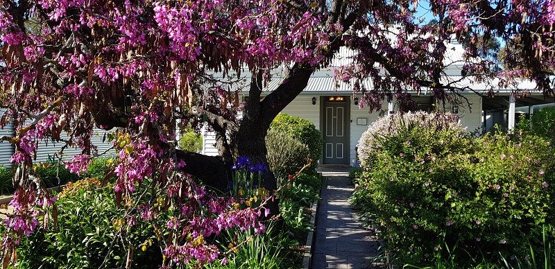 Beautifully Presented 3 Bedroom Country Style Cottage with Spacious Studio