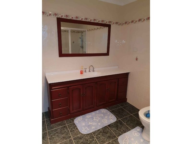 The fantastic family entertainer