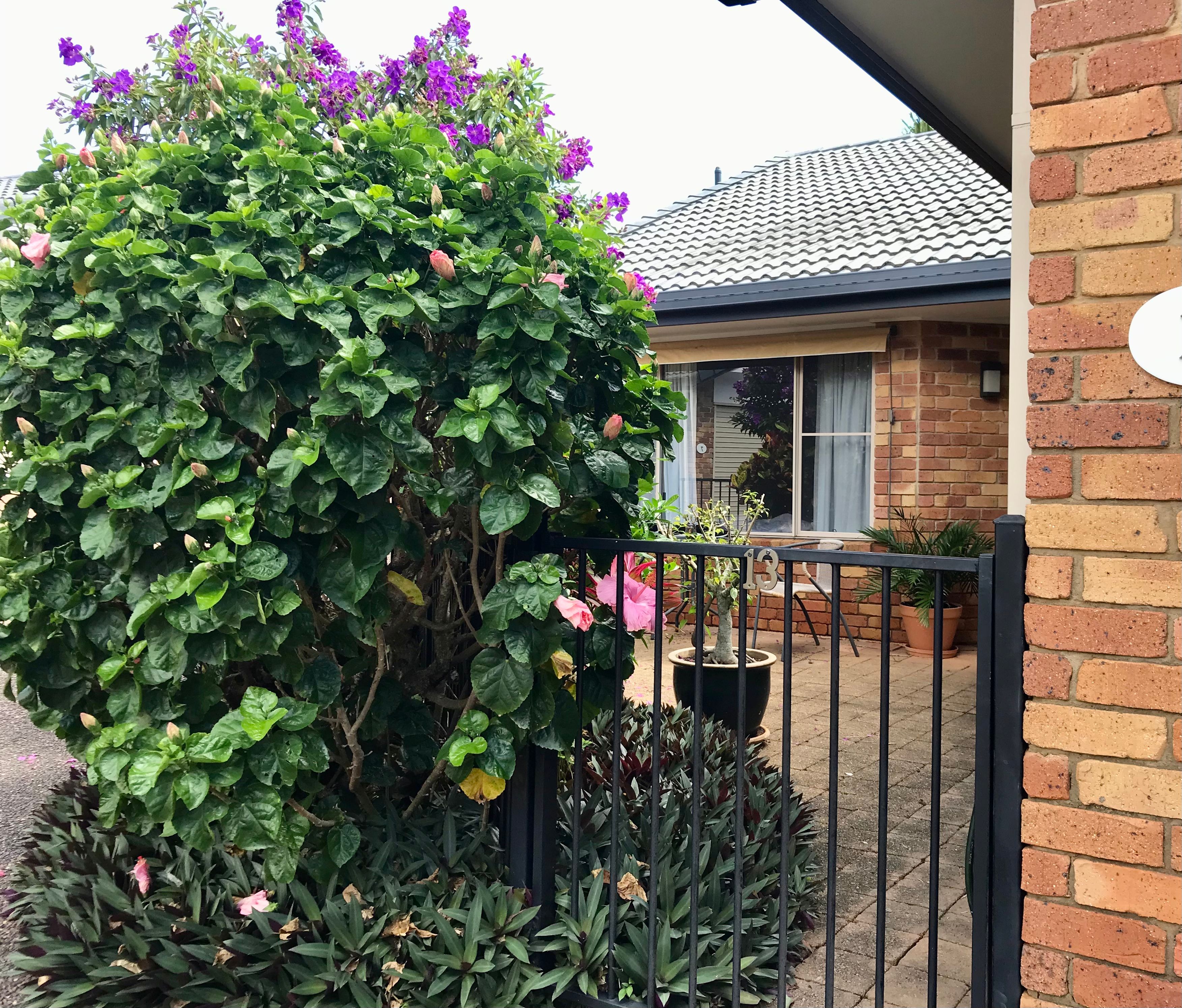 Right in the heart of Buderim