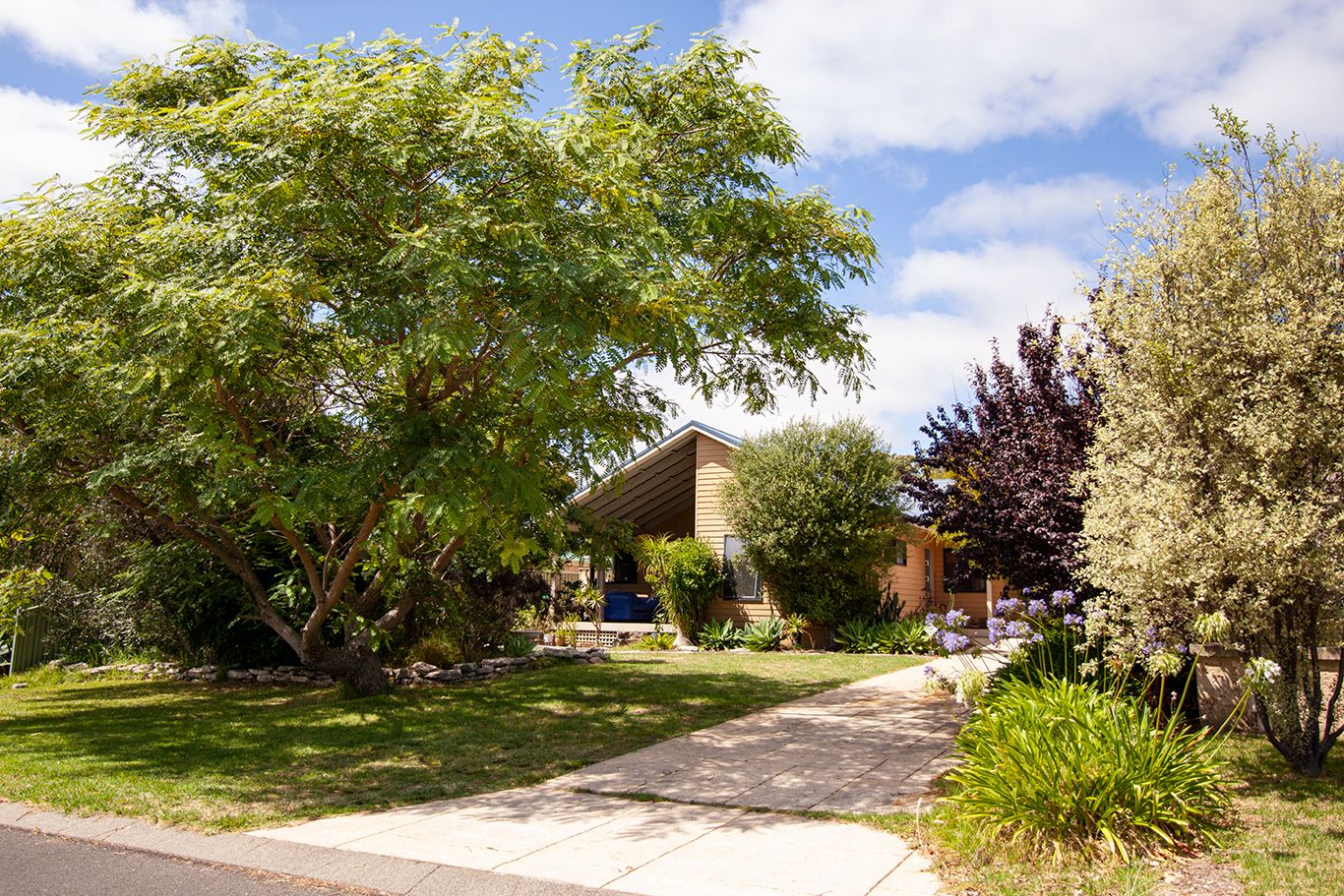 Bird watchers haven of peace