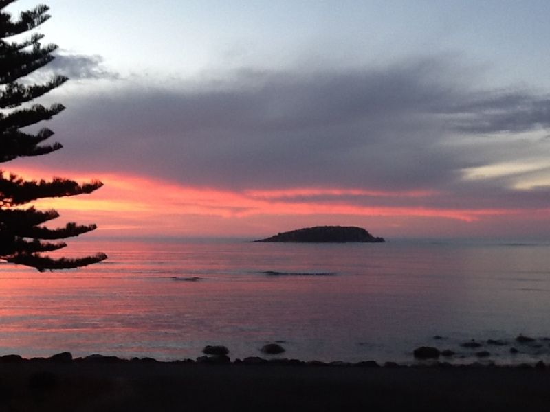 'ALLAMBI'. NEW PRICE